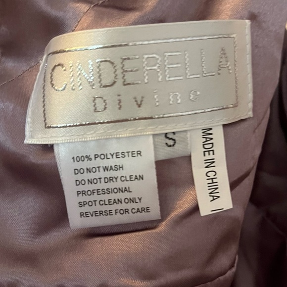 NWT Cinderella Chiffon Formal Bridesmaid Dress SZ Small - Picture 9 of 14